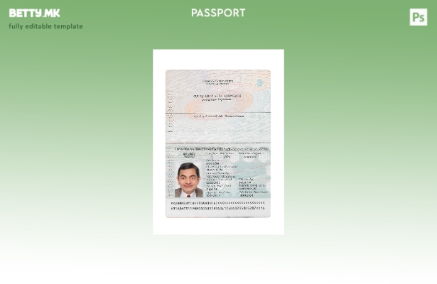 Модерен стил, сегашен шаблон за виетнамски пасош